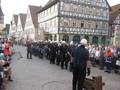 2012_04_30_maibaum_06.jpg