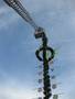 2012_04_30_maibaum_18.jpg